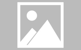大丰论文网站建设（网站建设的论文）